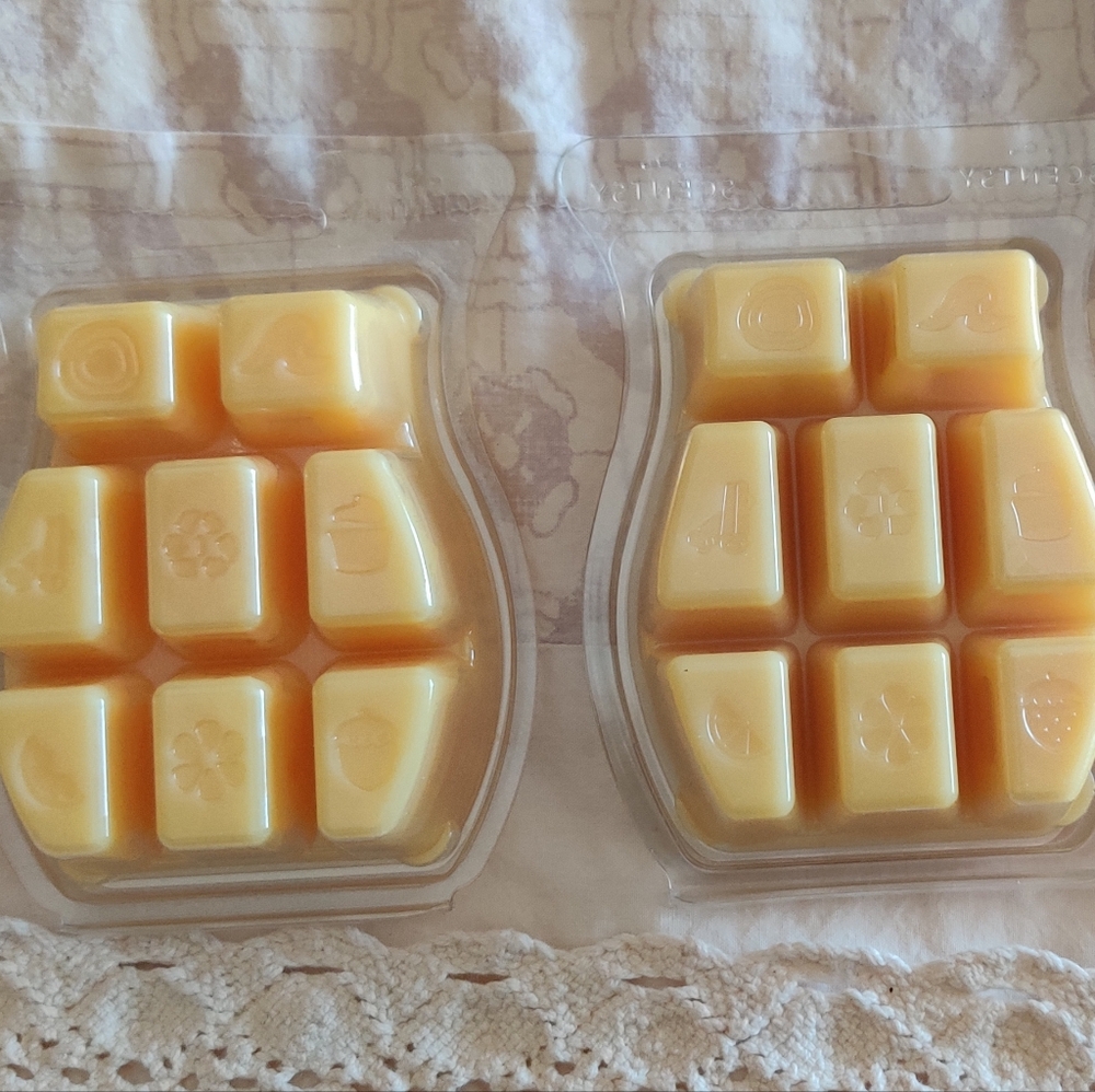 2 Coconut Daiquiri Scentsy Wax Melt Bars RETIRED NEW STOCK - Picture 2 of 3